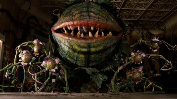 Little Shop of Horrors